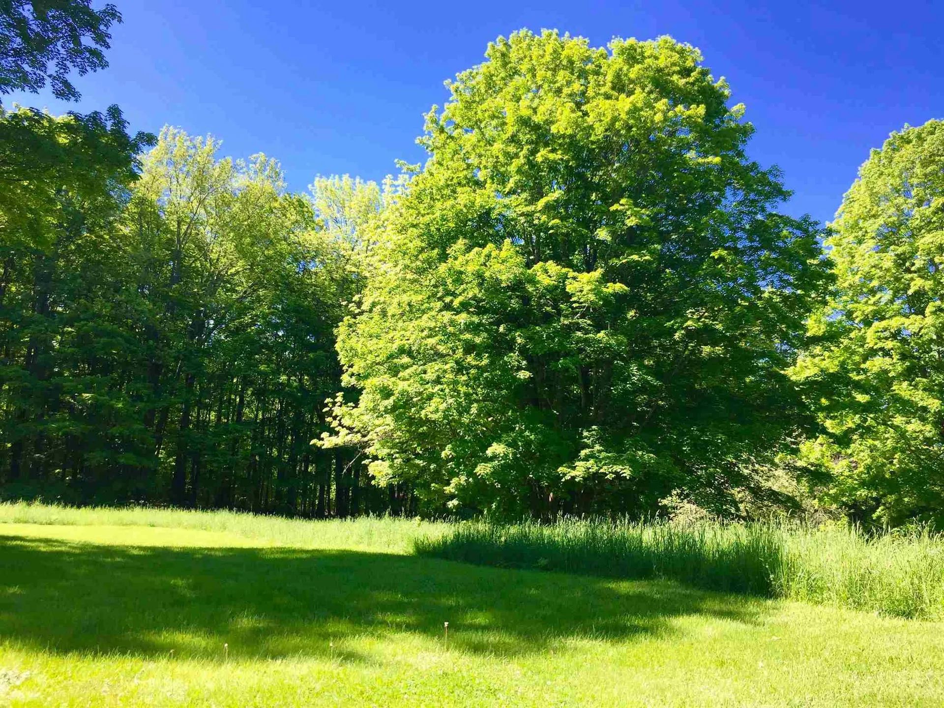 297 Town Farm Hill Road Hartland VT 05048