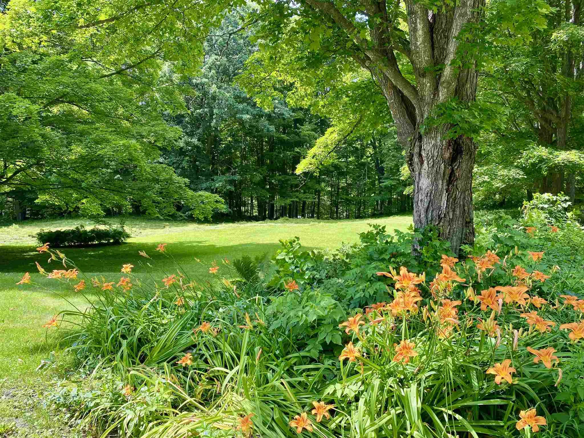 297 Town Farm Hill Road Hartland VT 05048
