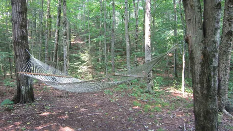 47 Upper River Road Newfane VT 05345