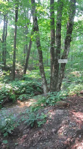 47 Upper River Road Newfane VT 05345