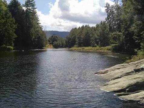 47 Upper River Road Newfane VT 05345