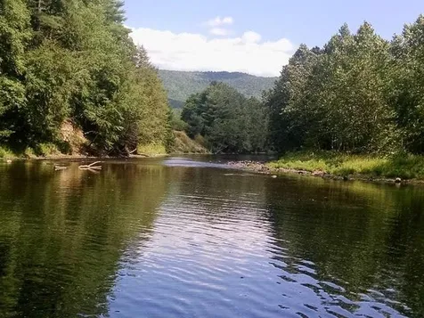 47 Upper River Road Newfane VT 05345