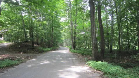 47 Upper River Road Newfane VT 05345