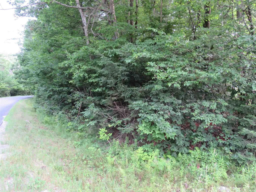 0 Tyler Farm Road Newbury VT 05051