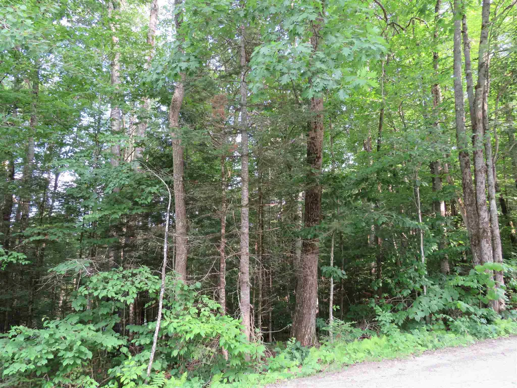 0 Tyler Farm Road Newbury VT 05051