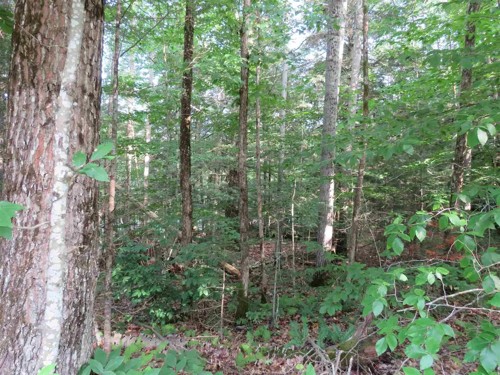 0 Tyler Farm Road Newbury VT 05051