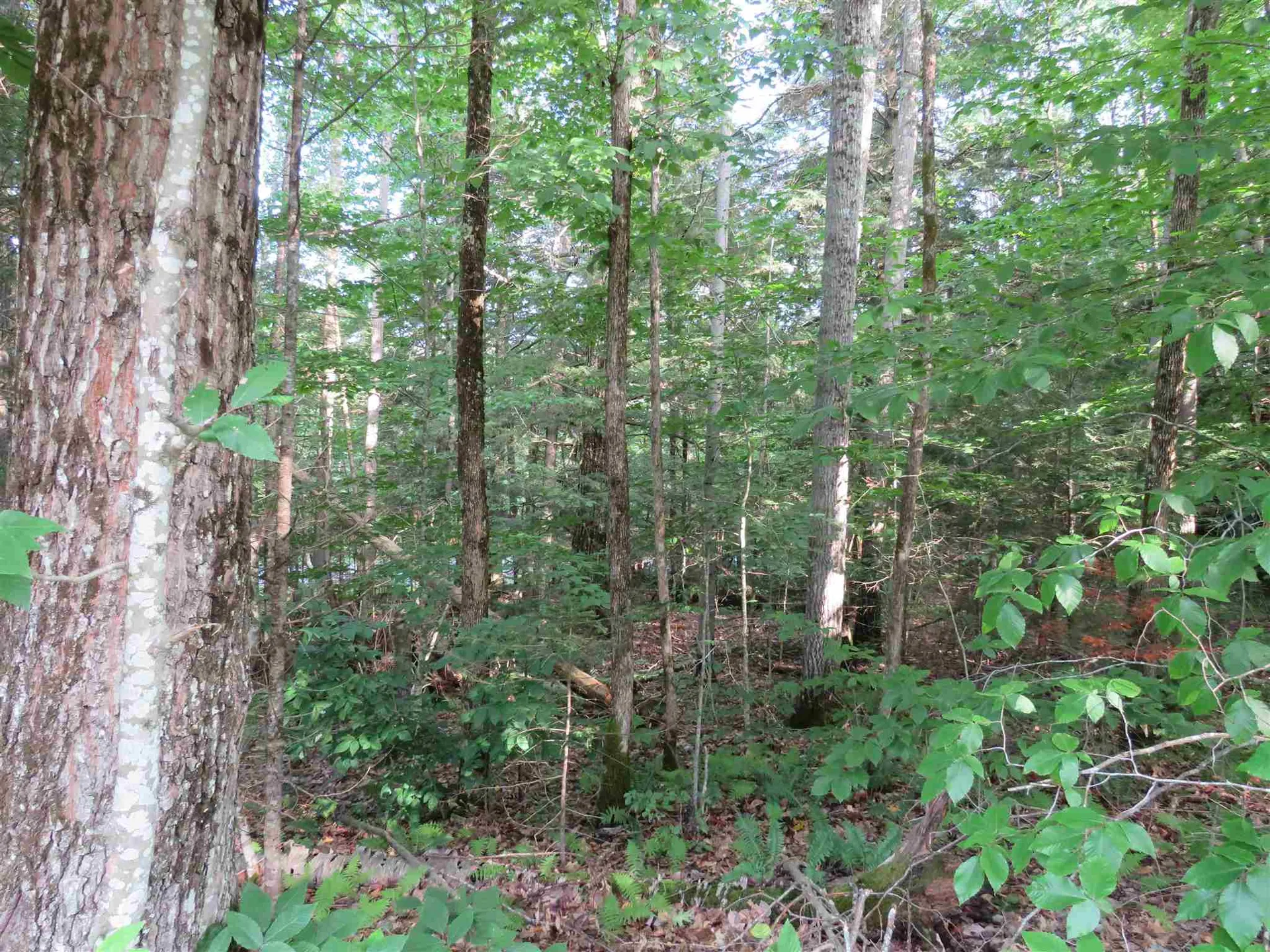 0 Tyler Farm Road Newbury VT 05051