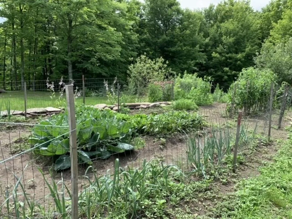 51 Village View Road Fairfax VT 05454