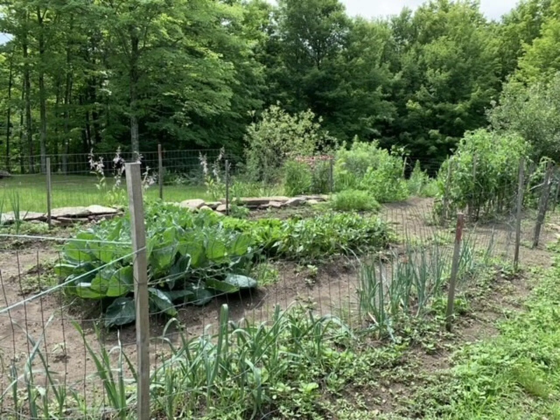 51 Village View Road Fairfax VT 05454