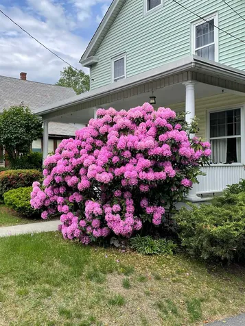 34 Cottage Street Brattleboro VT 05301