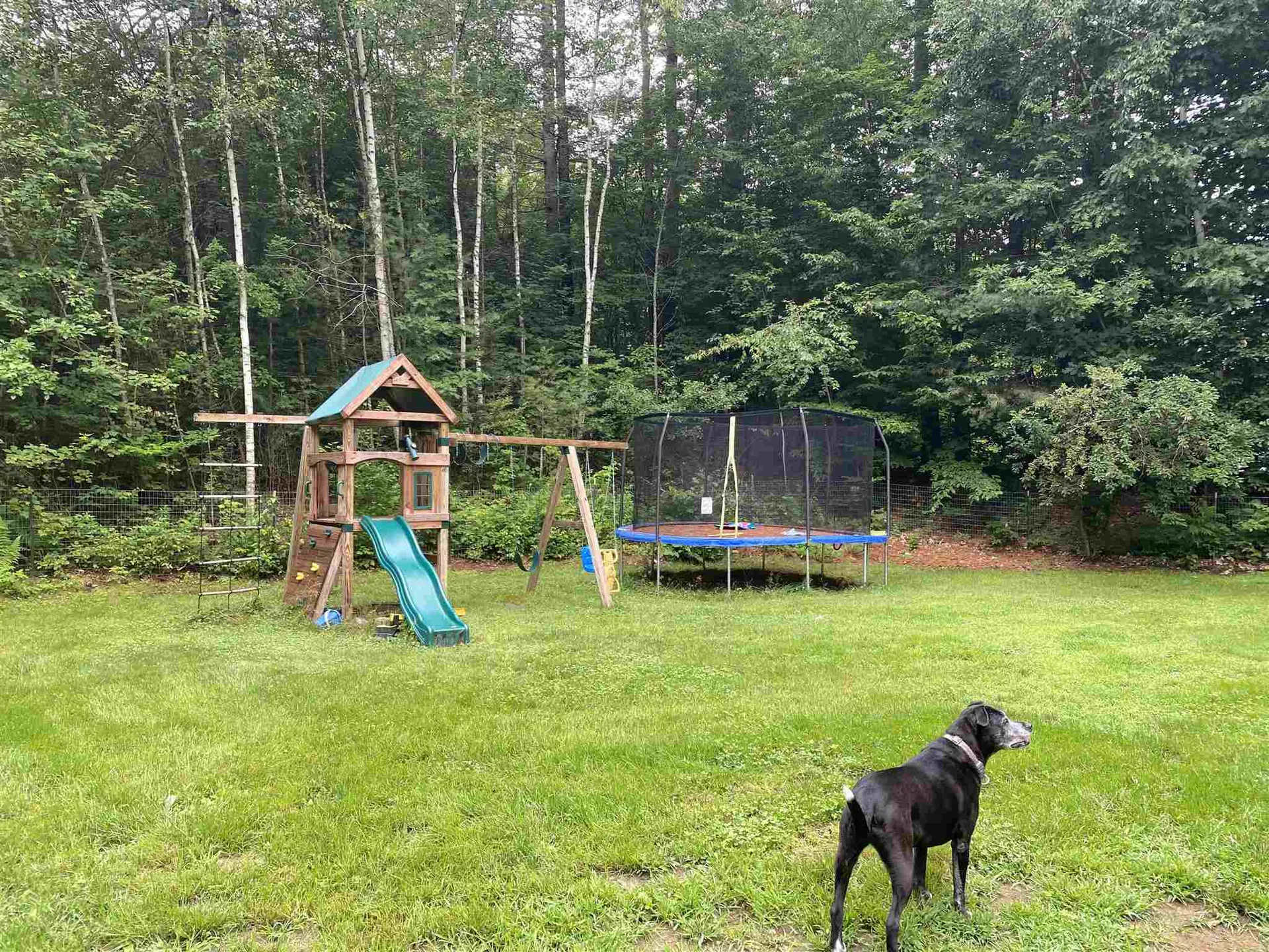 44 Alexander Avenue Newport NH 03773