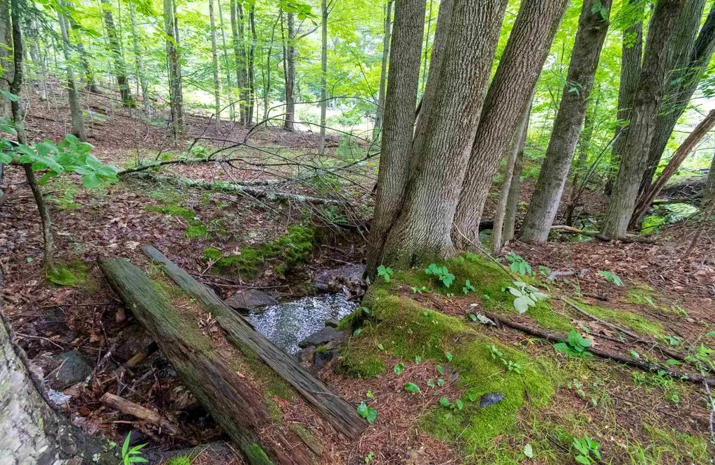 603 White Mountain Highway Milton NH 03851