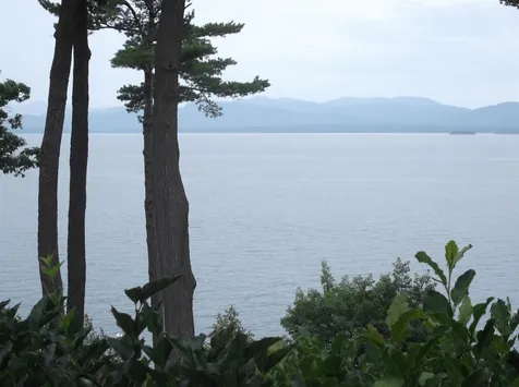 353 Morgan Drive Shelburne VT 05482