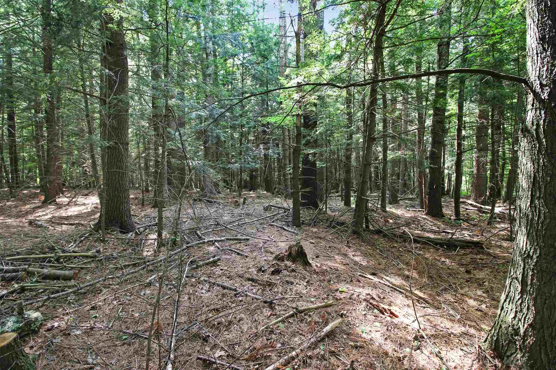 County Road Haverhill NH 03774