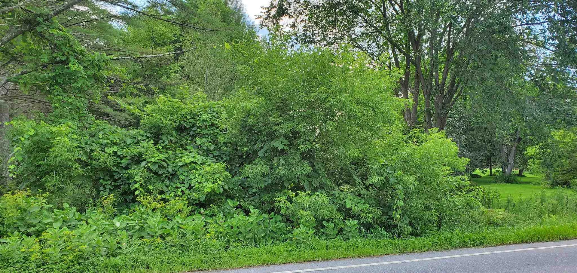 00 Route 30 N Castleton VT 05735