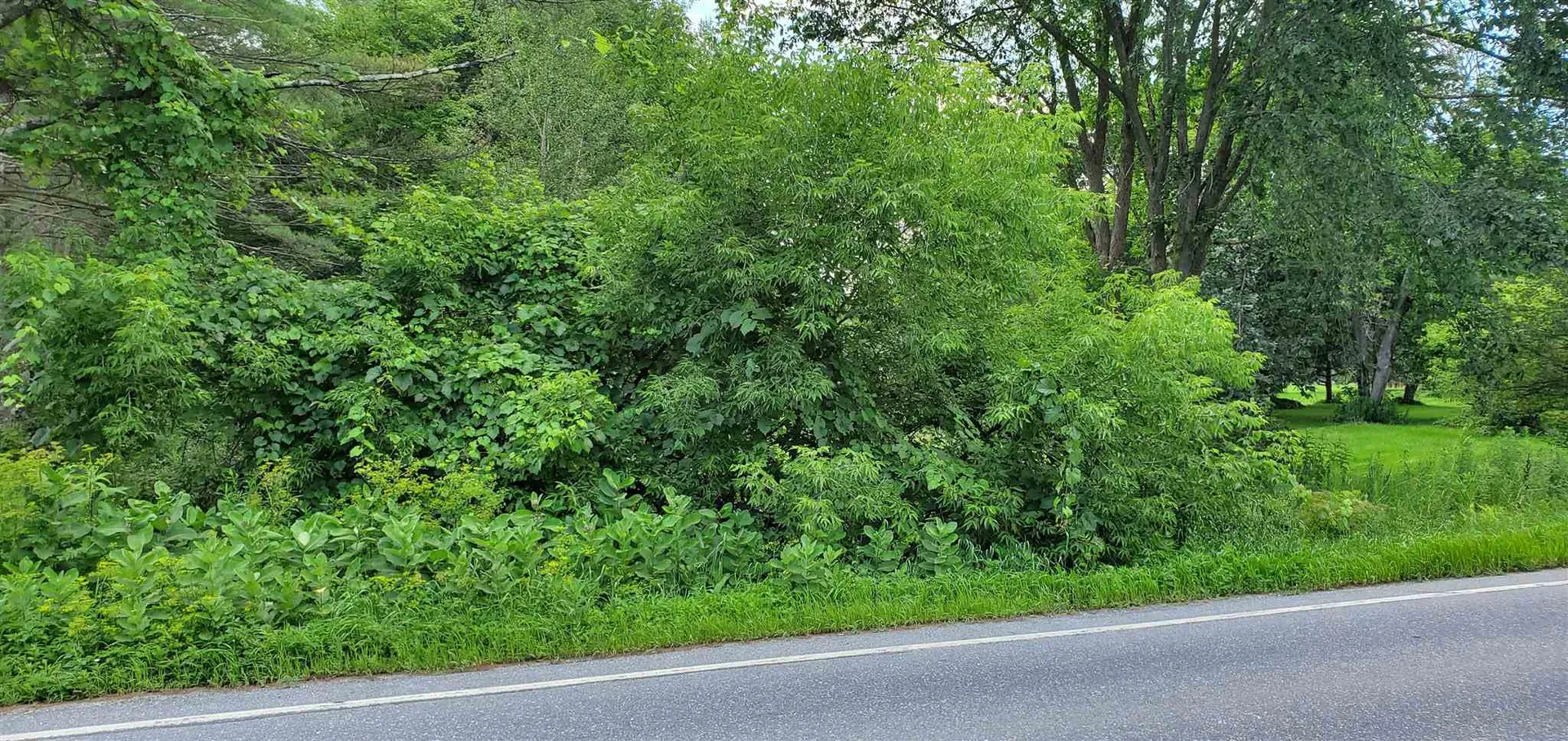 00 Route 30 N Castleton VT 05735