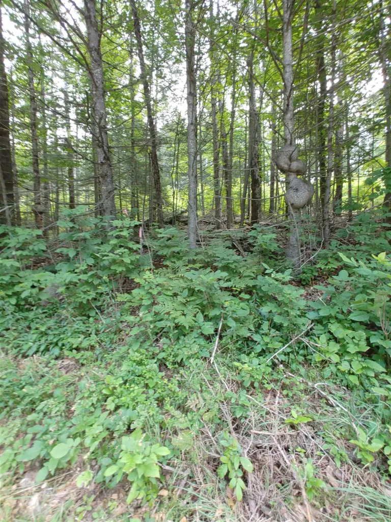 0 Us Route 302 Topsham VT 05076