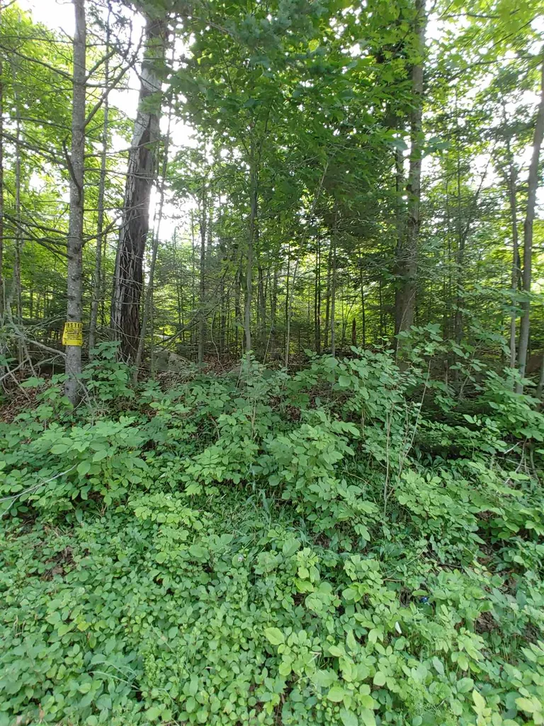 0 Us Route 302 Topsham VT 05076