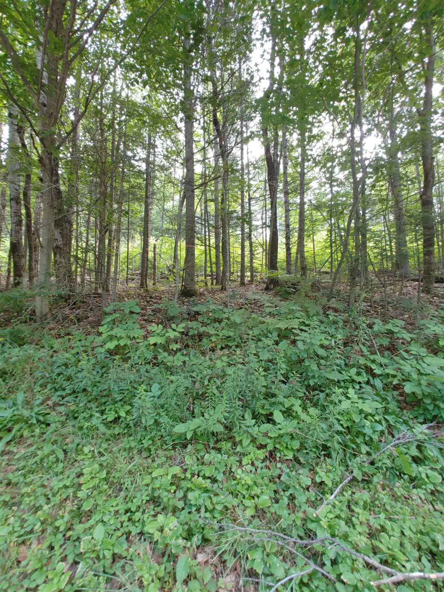 0 Us Route 302 Topsham VT 05076
