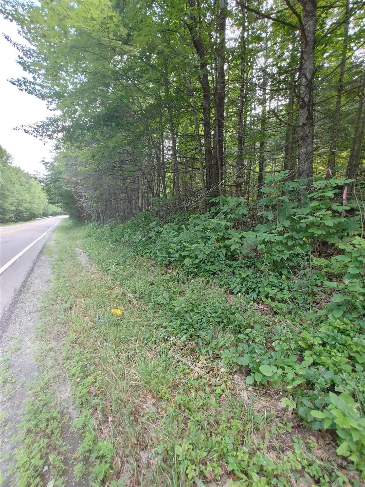0 Us Route 302 Topsham VT 05076