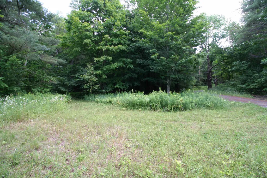 141 Bigelow Lane Royalton VT 05068