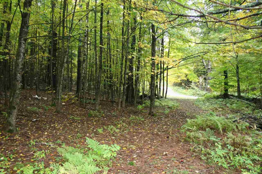 141 Bigelow Lane Royalton VT 05068