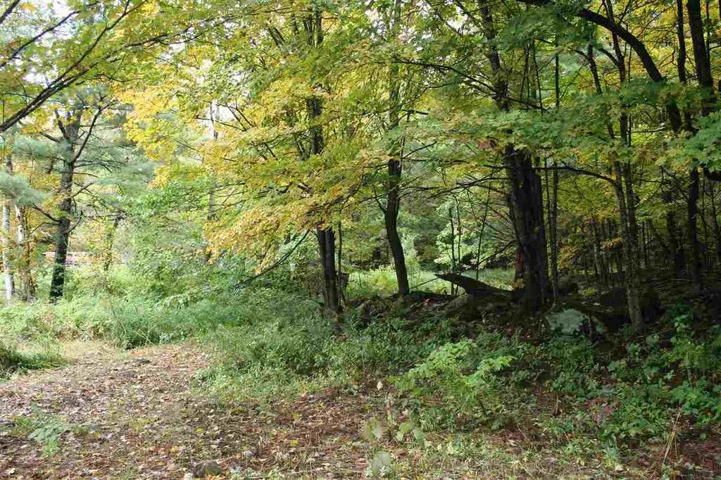 141 Bigelow Lane Royalton VT 05068