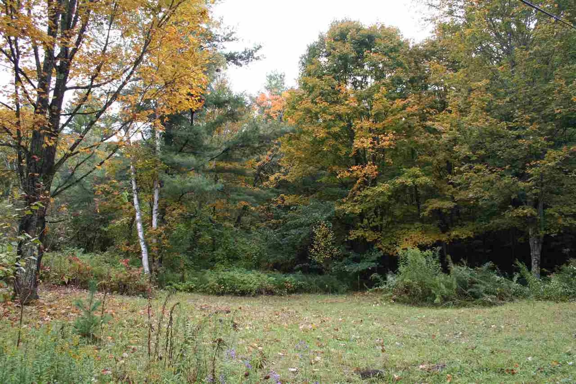 141 Bigelow Lane Royalton VT 05068