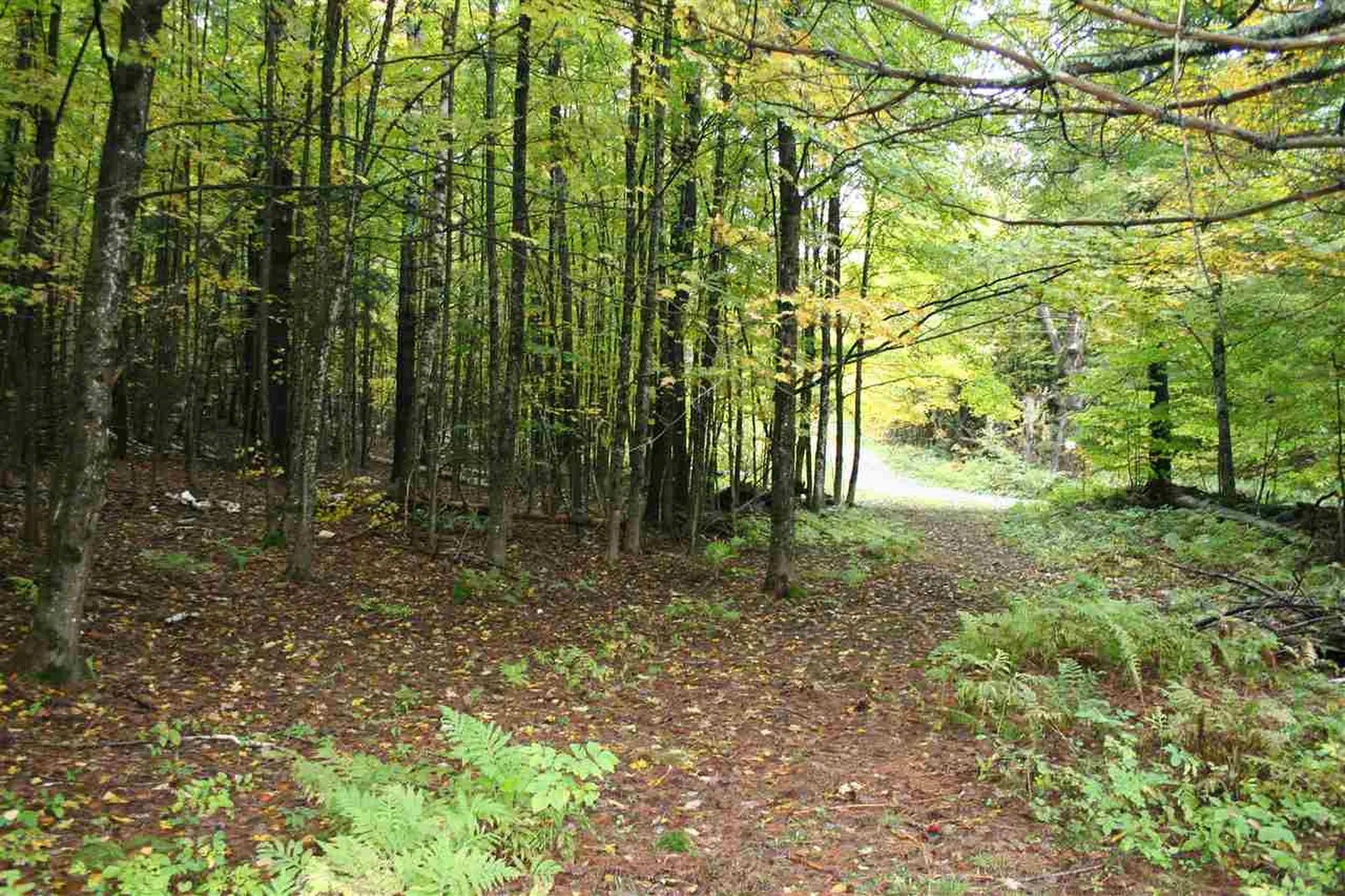 141 Bigelow Lane Royalton VT 05068