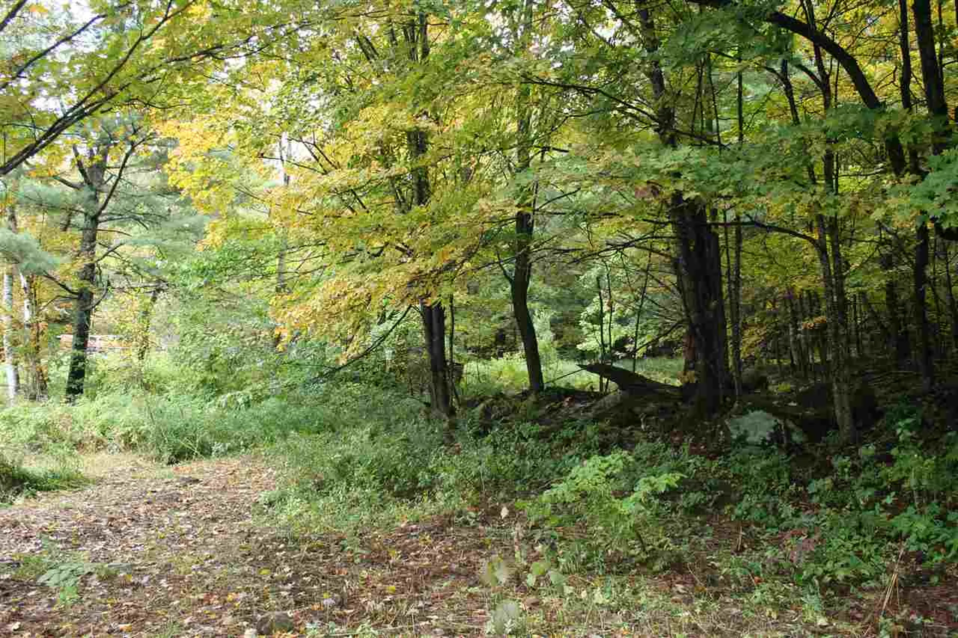 141 Bigelow Lane Royalton VT 05068