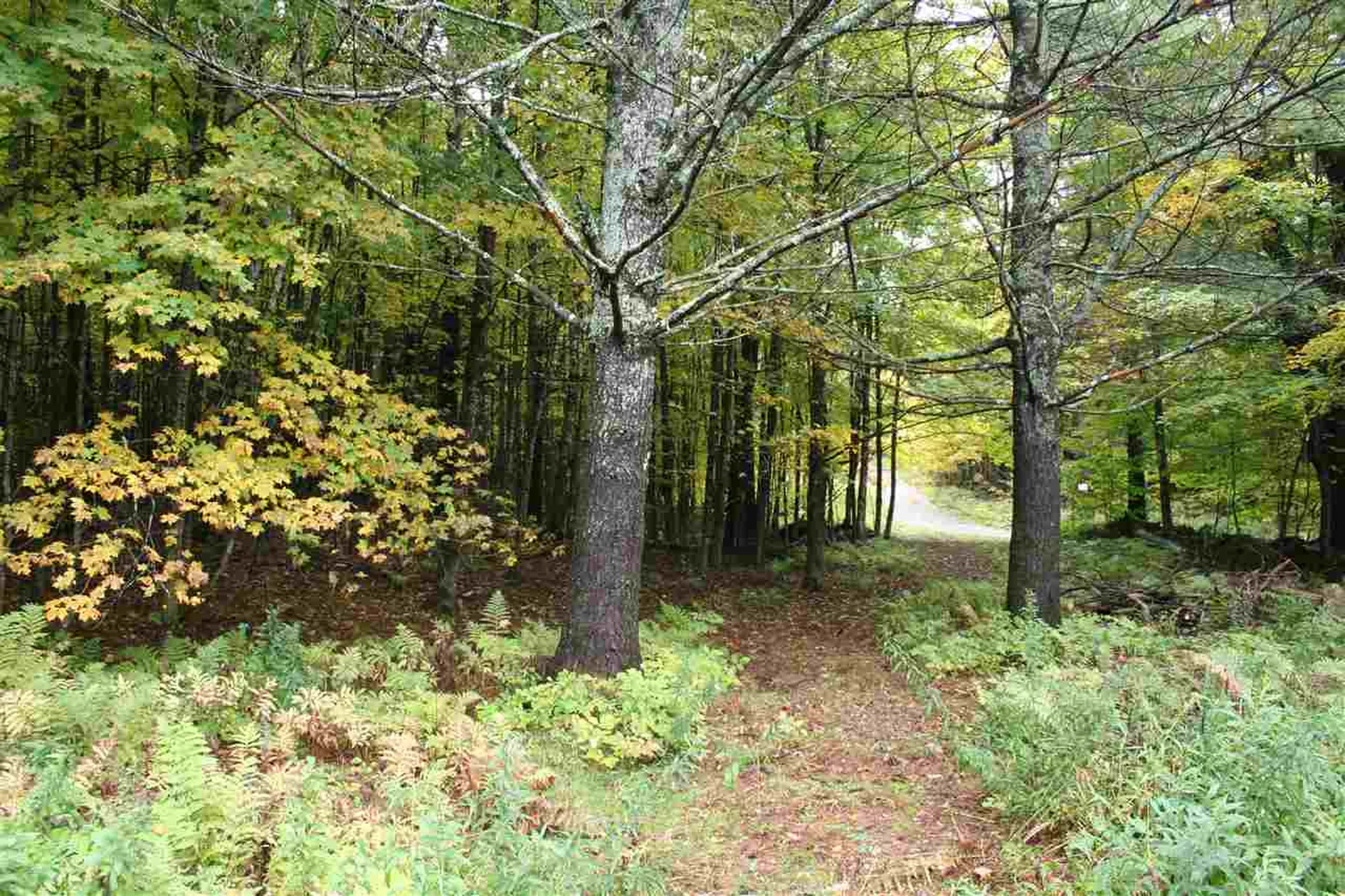 141 Bigelow Lane Royalton VT 05068