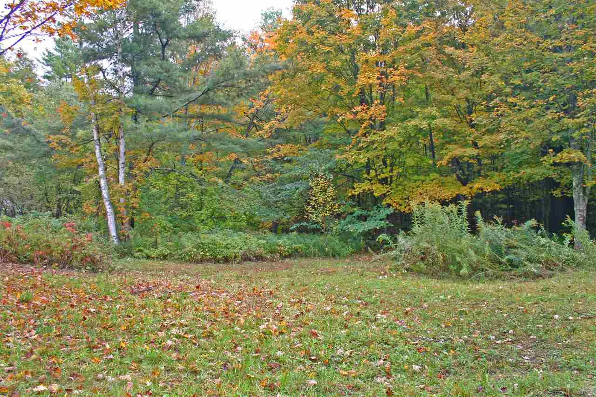 141 Bigelow Lane Royalton VT 05068