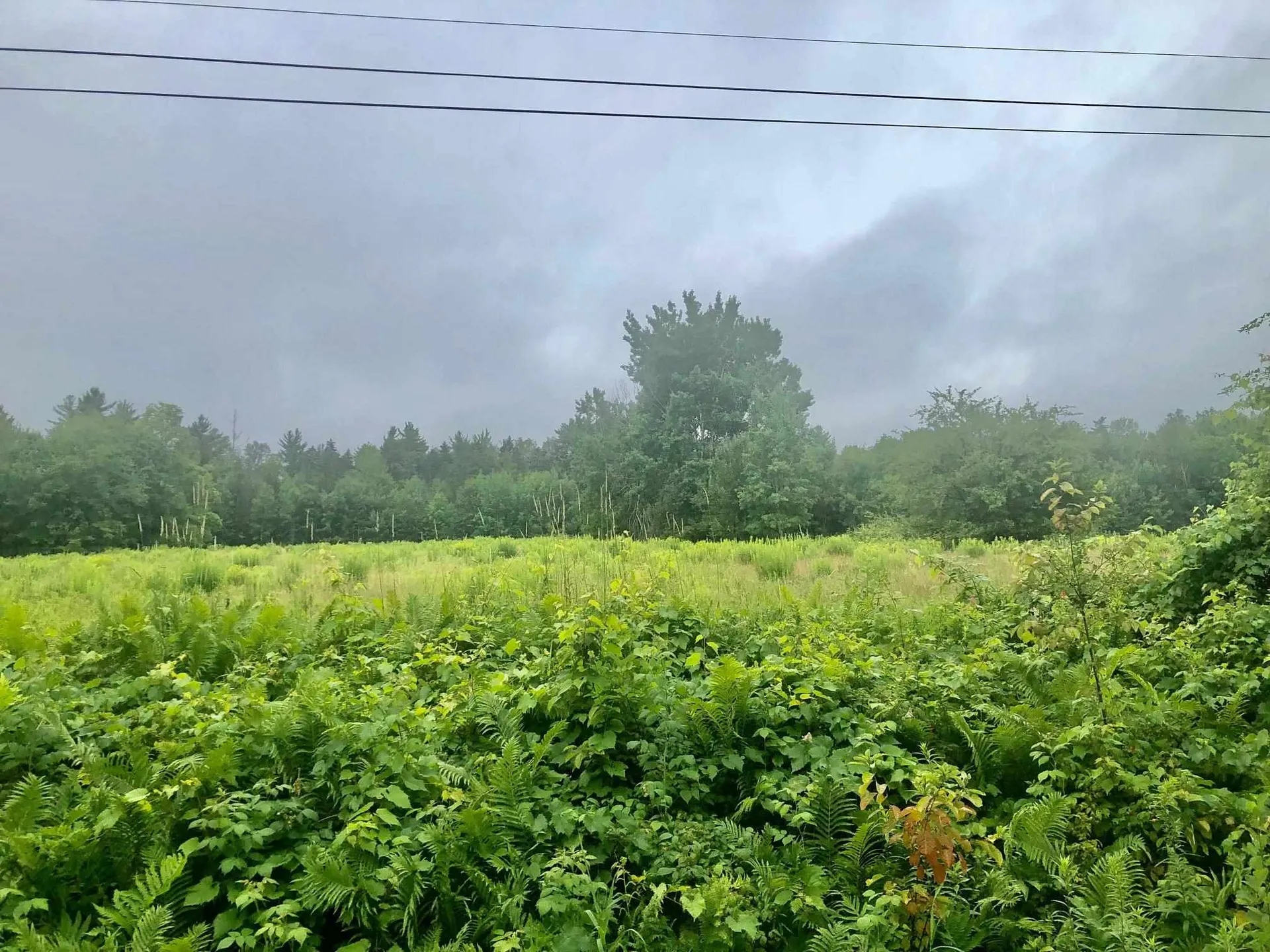 Moody Road Haverhill NH 03780
