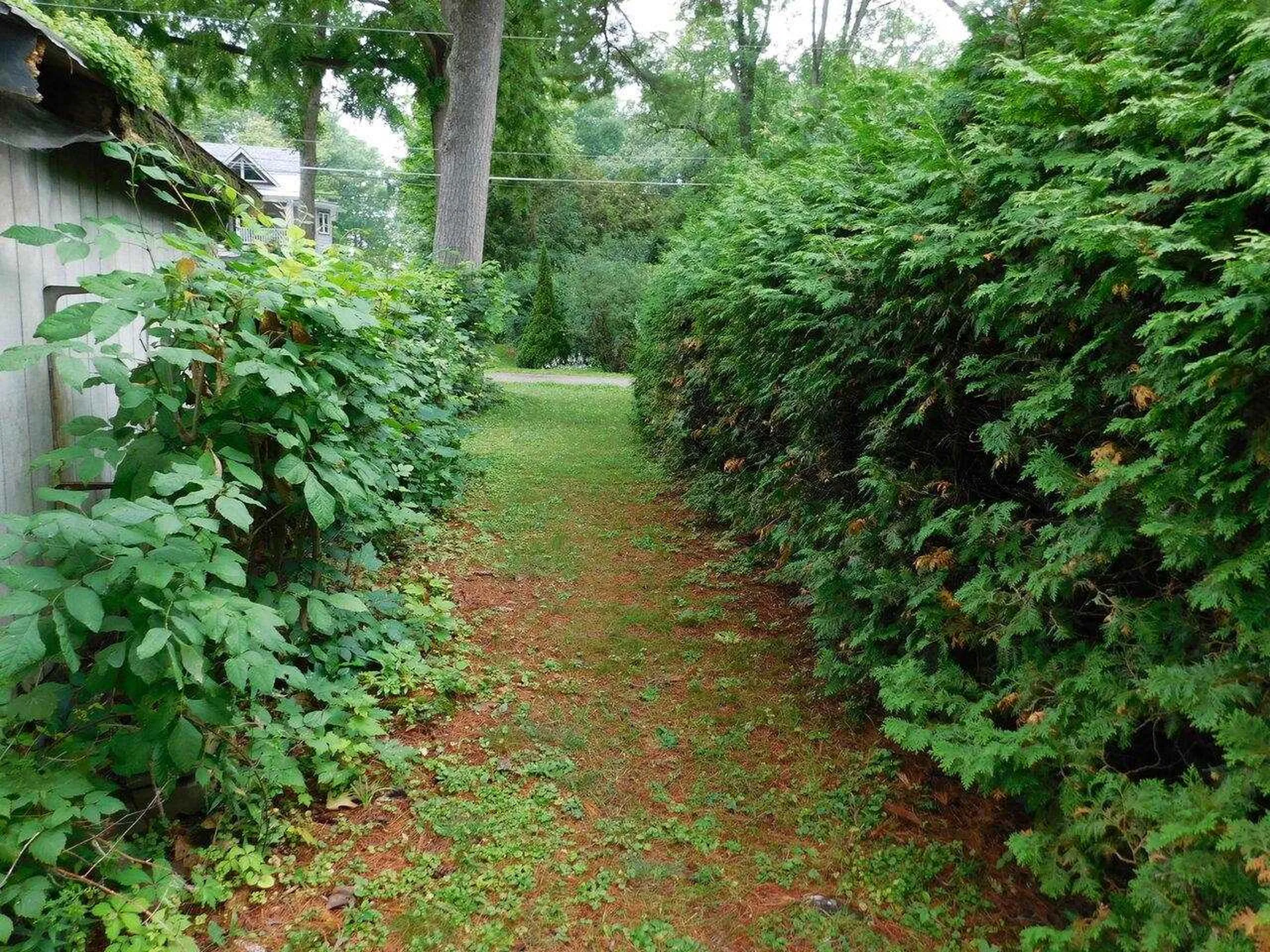 2168 Porters Point Road Colchester VT 05446