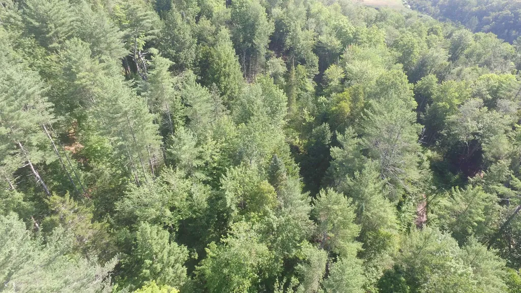 00 U.s. Route 2 St. Johnsbury VT 05838