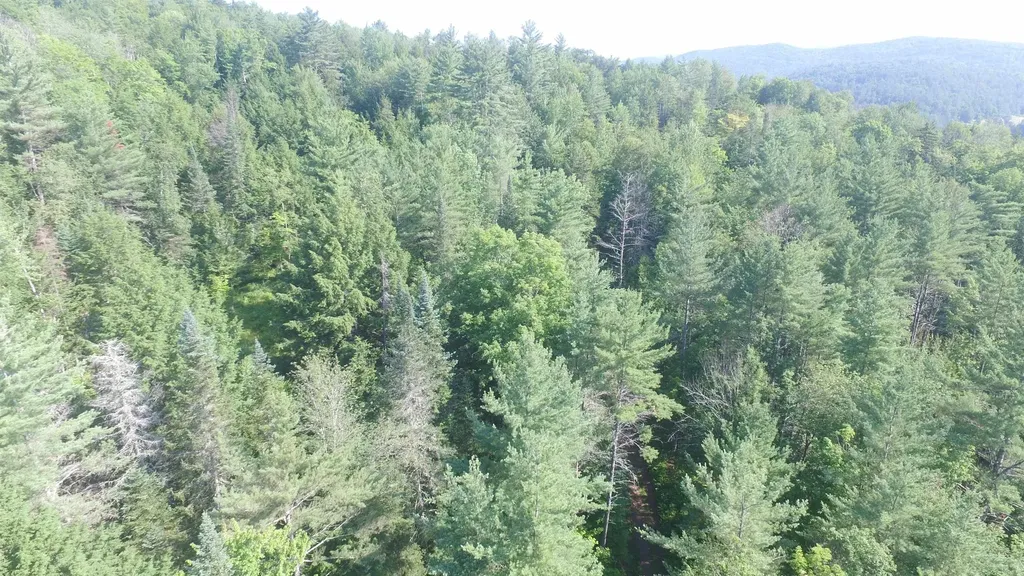 00 U.s. Route 2 St. Johnsbury VT 05838