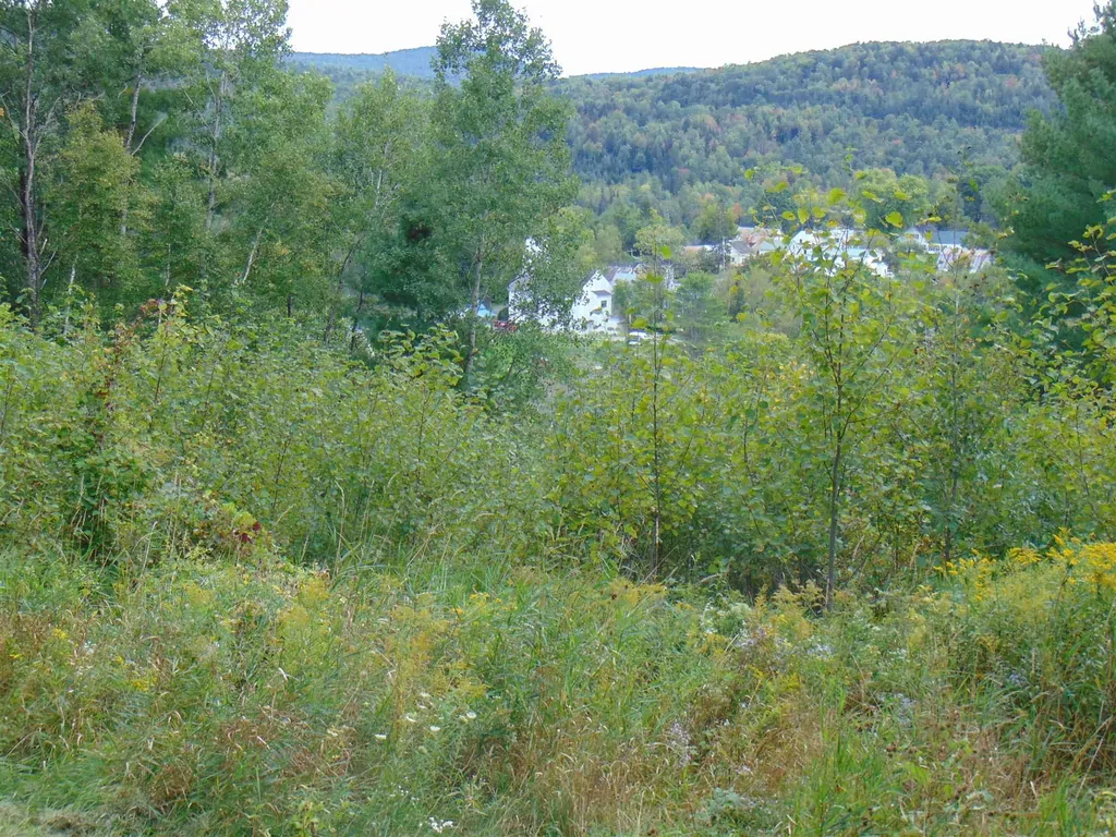 00 U.s. Route 2 St. Johnsbury VT 05838