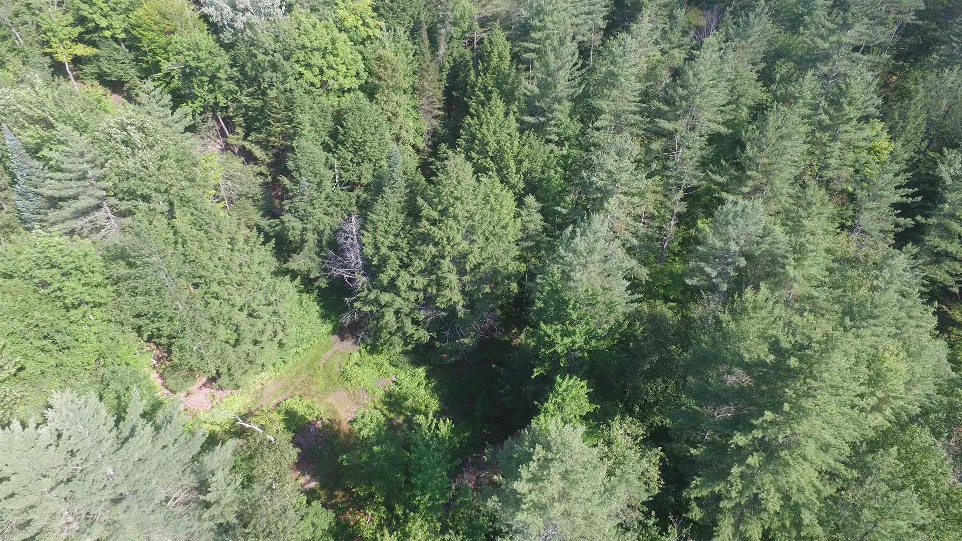 00 U.s. Route 2 St. Johnsbury VT 05838