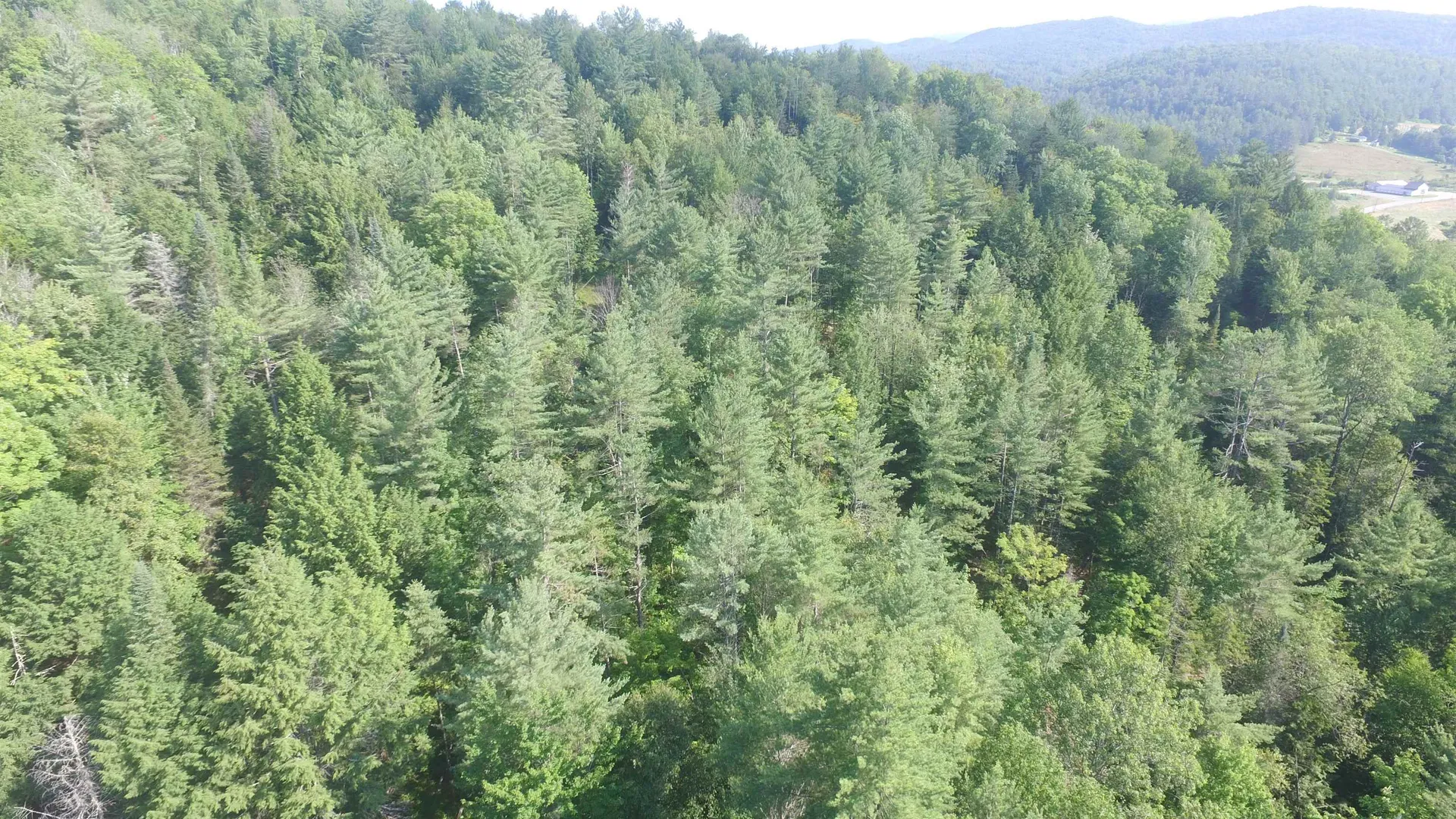 00 U.s. Route 2 St. Johnsbury VT 05838