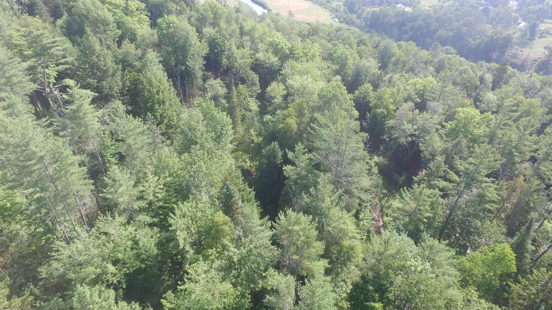 00 U.s. Route 2 St. Johnsbury VT 05838