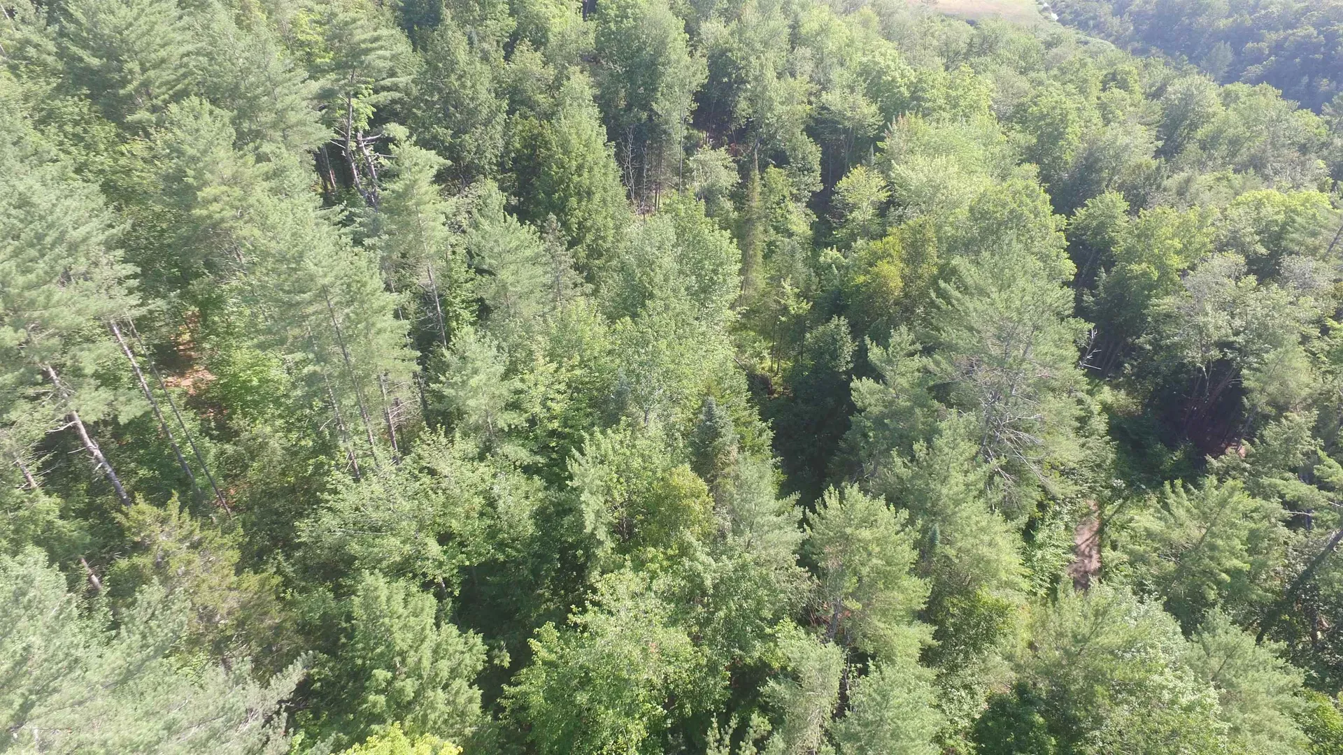 00 U.s. Route 2 St. Johnsbury VT 05838