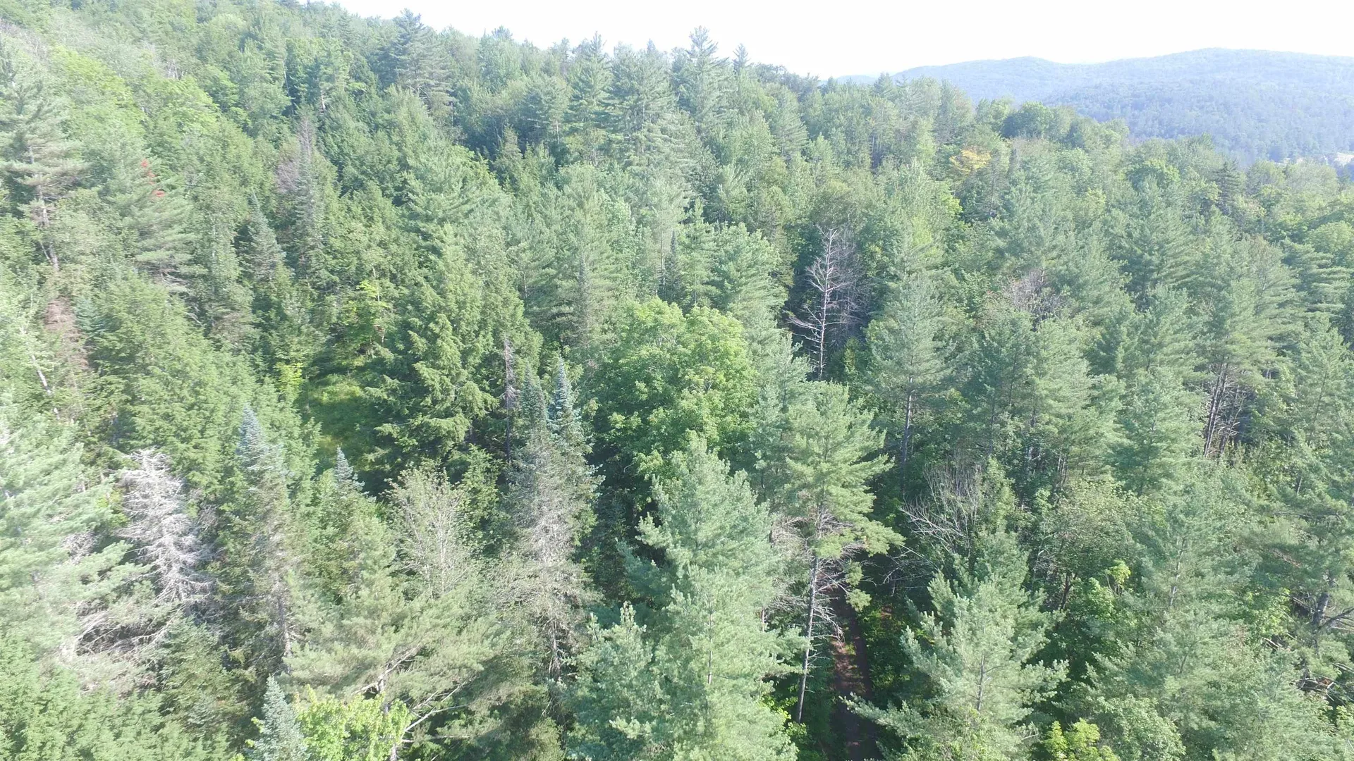 00 U.s. Route 2 St. Johnsbury VT 05838