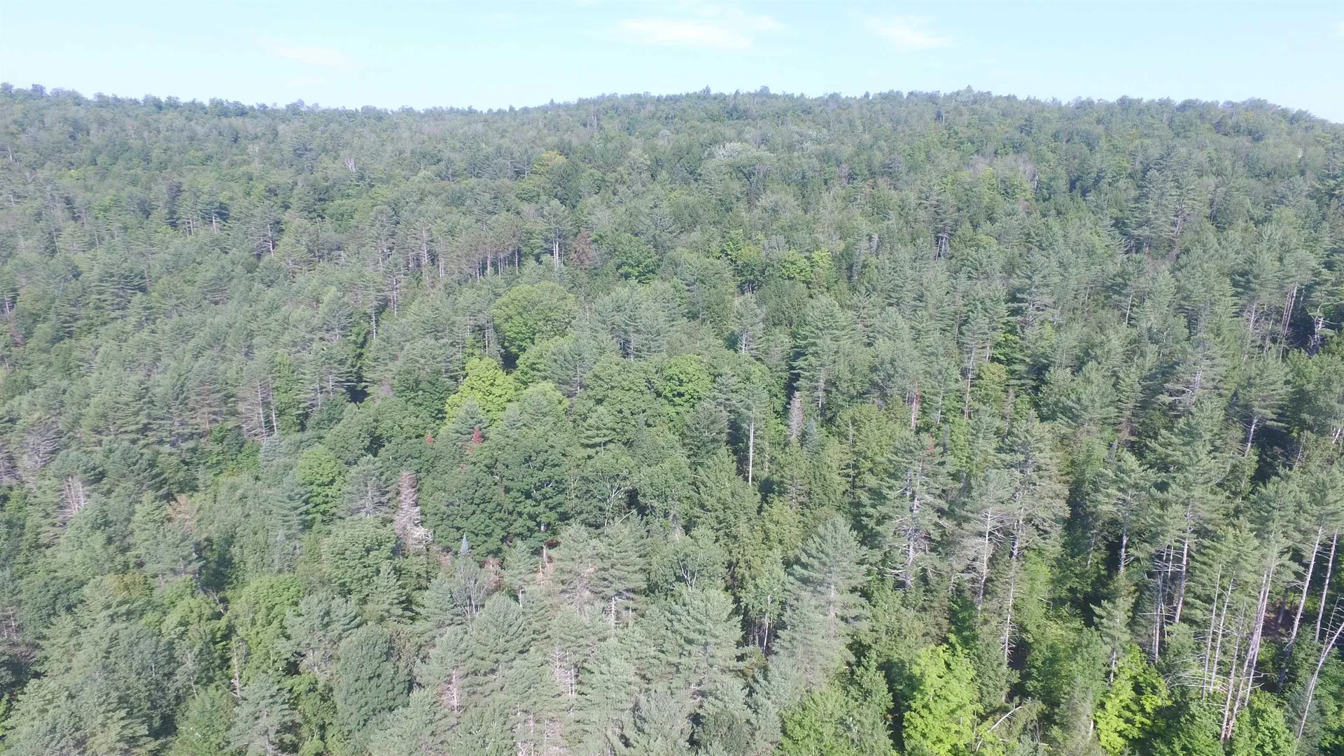 00 U.s. Route 2 St. Johnsbury VT 05838