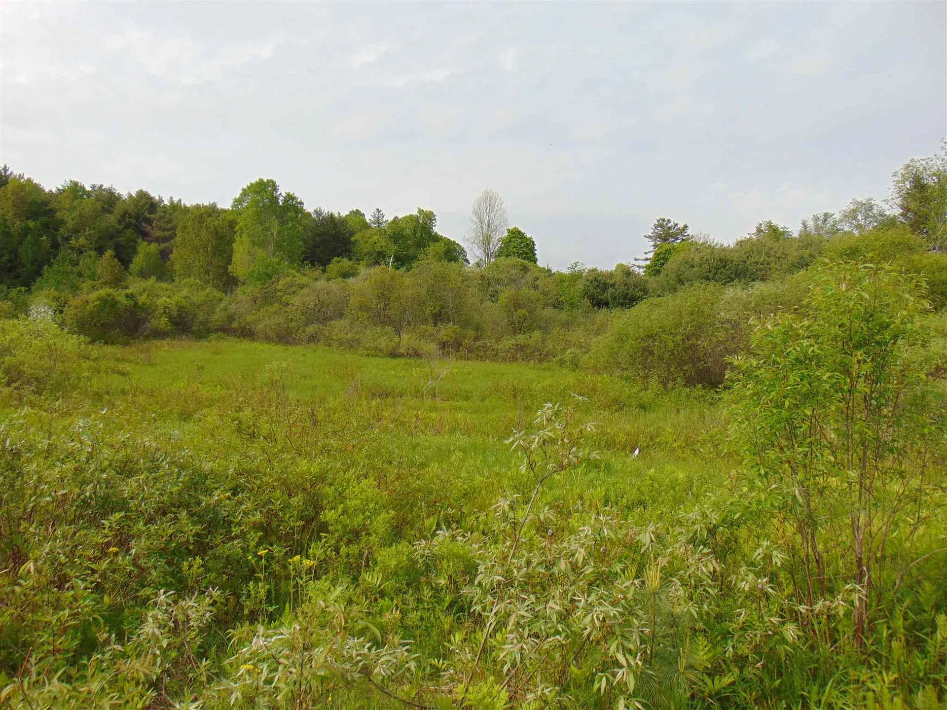 00 U.s. Route 2 St. Johnsbury VT 05838