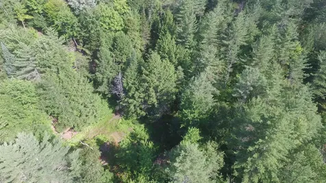 00 U.s. Route 2 St. Johnsbury VT 05838