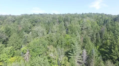 00 U.s. Route 2 St. Johnsbury VT 05838