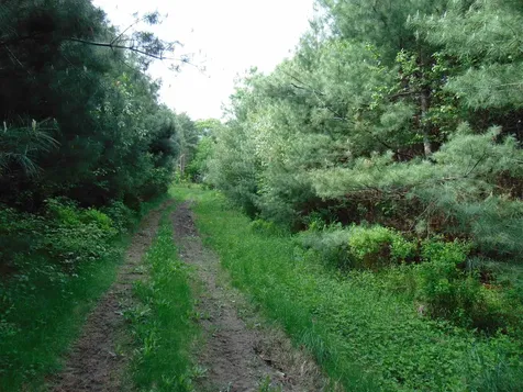 00 U.s. Route 2 St. Johnsbury VT 05838