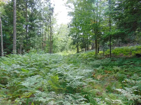 00 U.s. Route 2 St. Johnsbury VT 05838