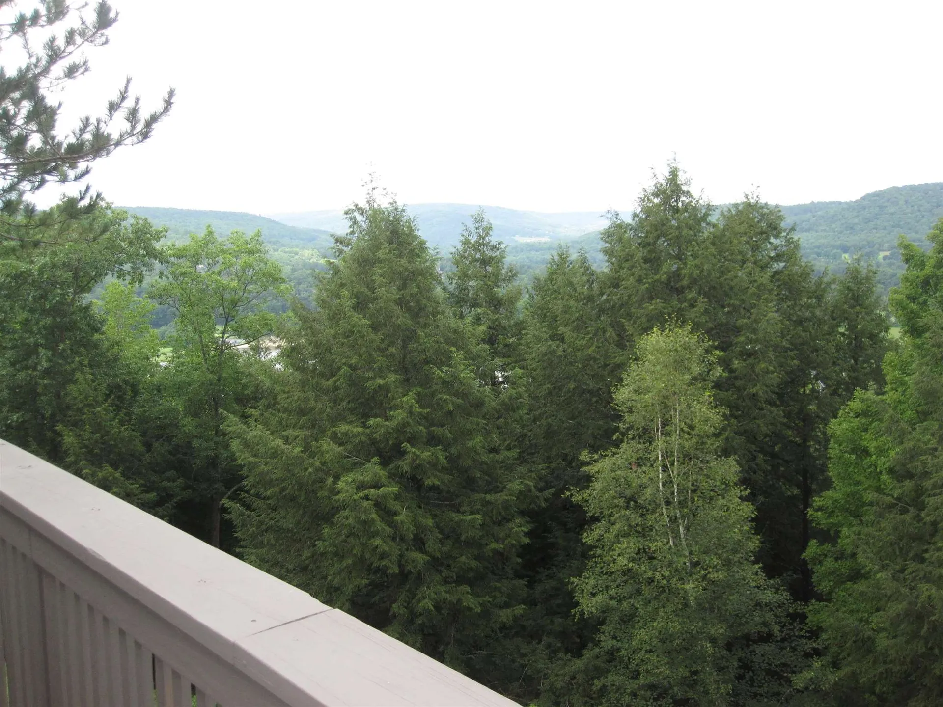 423 Alden Partridge Road Hartford VT 05059