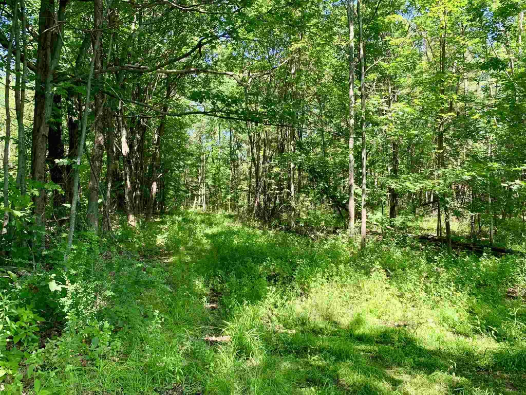 280 Thompson Road Pittsfield NH 03263